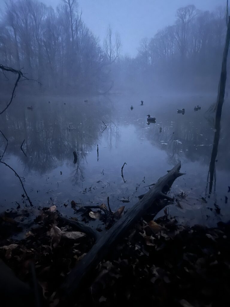 Waterfowl decoy spread with no motion