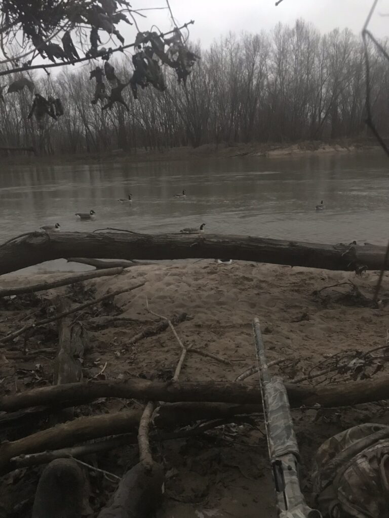 Waterfowl hunting near a river 