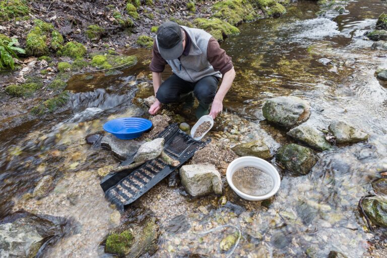 gold prospecting in a stream