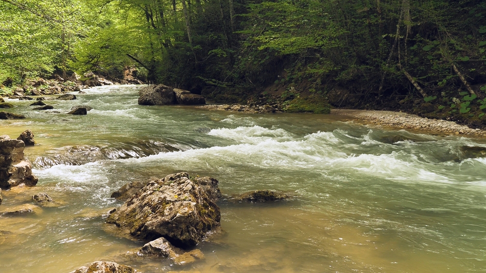 smallmouth stream 