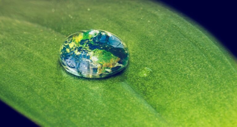 Water drop with earth